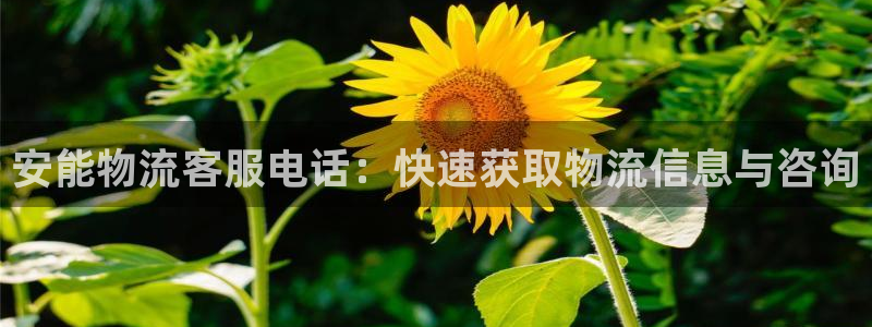 加拿大28圈是什么