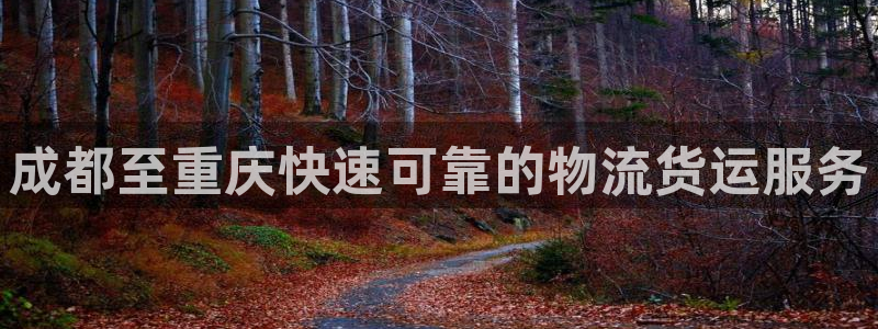 28圈预测网
