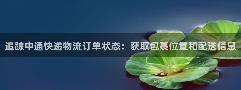 28圈能提现吗