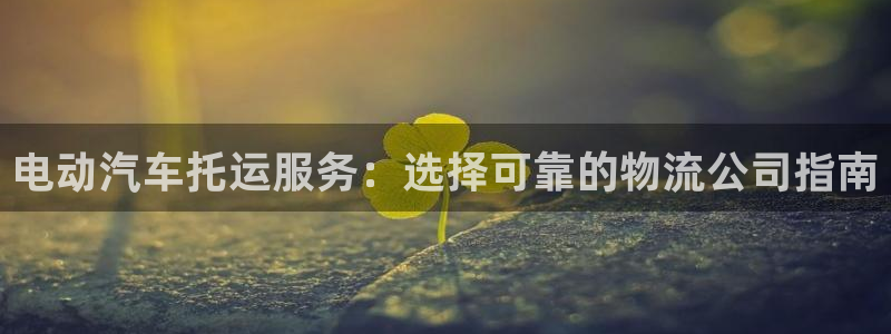 28圈充值不到账怎么办：电动汽车托运