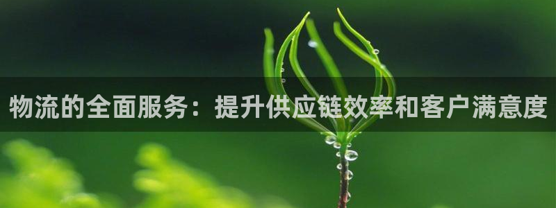 28圈：物流的全面服务：提升供应链效