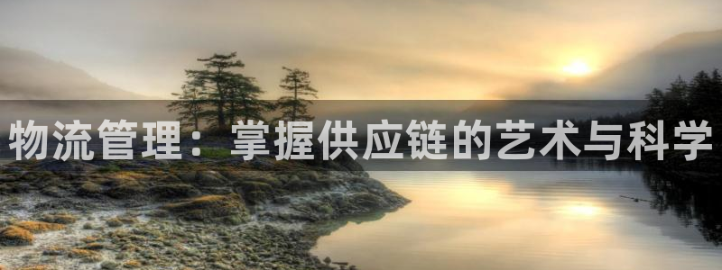 28圈旗下：物流管理：掌握供应链的艺