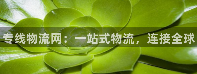 28圈注册入口与教程：专线物流网：一