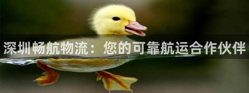 28圈比特28预测在线预测：深圳畅航