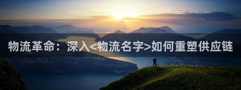 28圈官网版下载：物流革命：深入<物