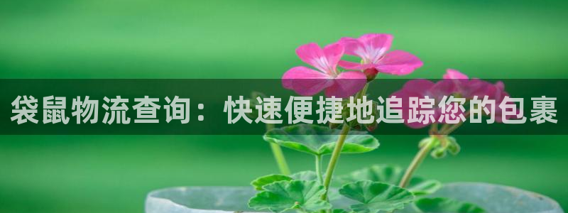 28圈注册网站多少：袋鼠物流查询：快