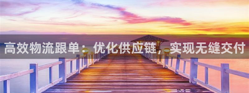 28圈稳吗：高效物流跟单：优化供应链