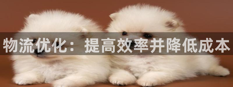 28圈注册送：物流优化：提高效率并降