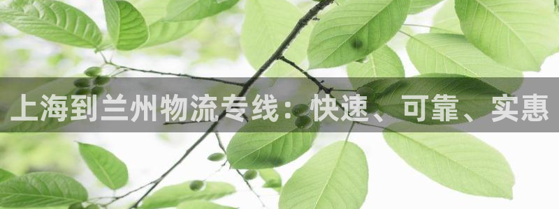 28圈大神预测