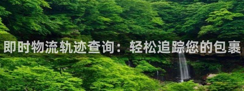 28圈反水什么时候到：即时物流轨迹查