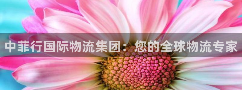 28圈官网链接：中菲行国际物流集团：