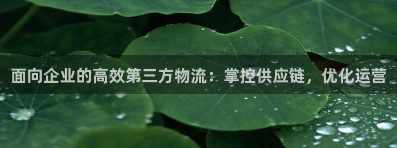 28圈注册问一问：面向企业的高效第三