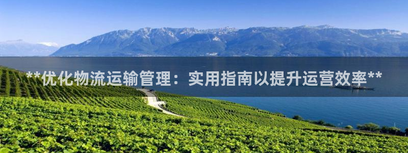 28圈p扣除：**优化物流运输管理：