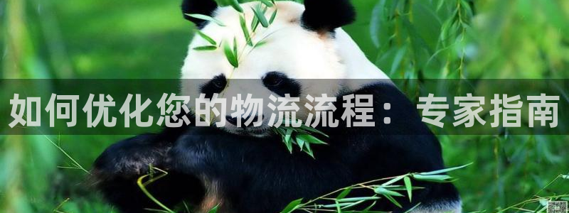 28圈模拟器：如何优化您的物流流程：