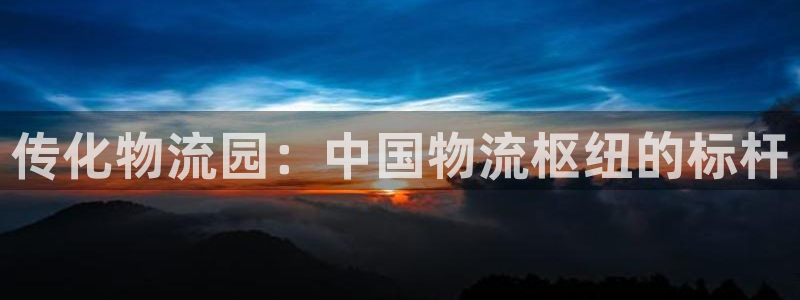28圈登录不上咋回事：传化物流园：中