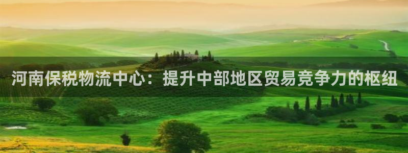 28圈注册登录链接：河南保税物流中心