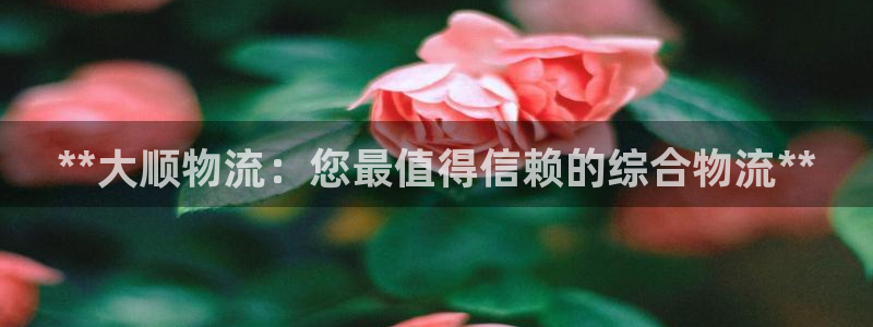 28圈注册送：**大顺物流：您最值得