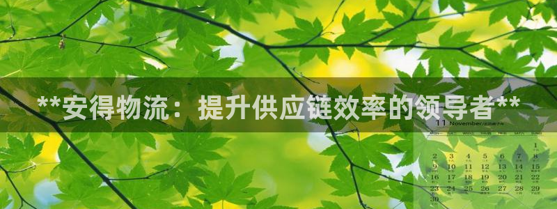 28圈登录流程：**安得物流：提升供