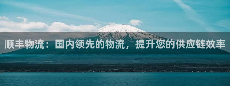 28圈ccm官网版：顺丰物流：国内领