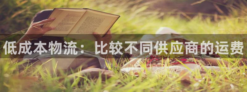 28圈注册步骤：低成本物流：比较不同