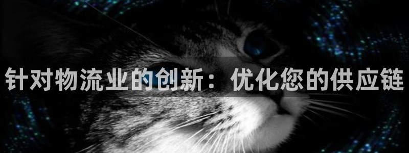 28圈官网版2024：针对物流业的创