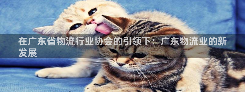 28圈能提现吗：在广东省物流行业协会