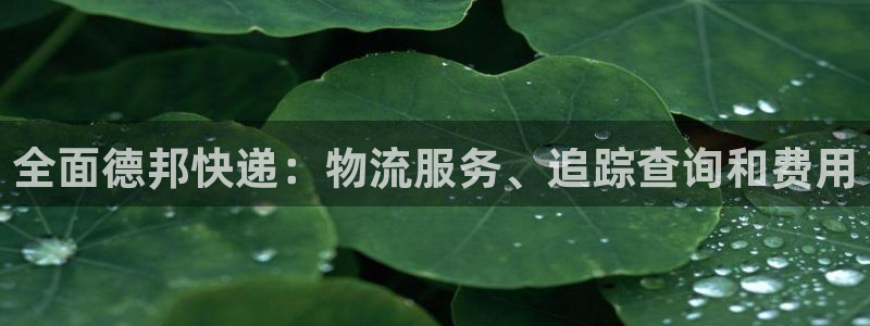 28圈如何注销账号：全面德邦快递：物