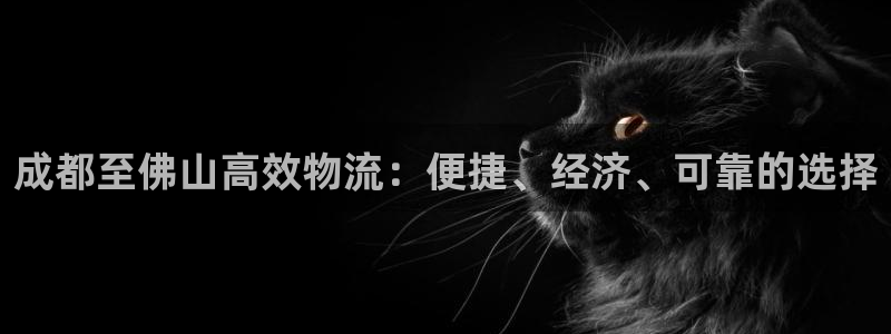 28圈平台注册：成都至佛山高效物流：