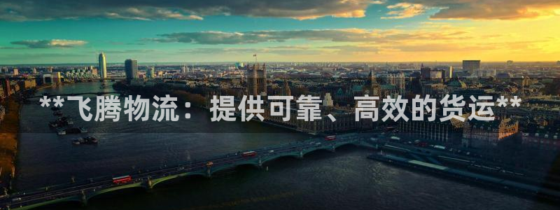 28圈防失联网址：**飞腾物流：提供