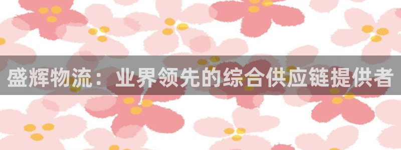 28圈头像：盛辉物流：业界领先的综合