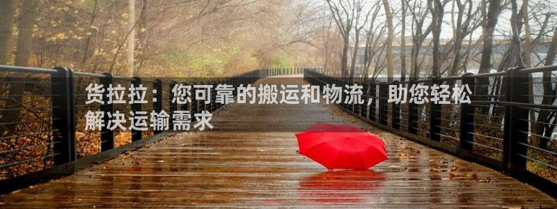28圈网赌案件