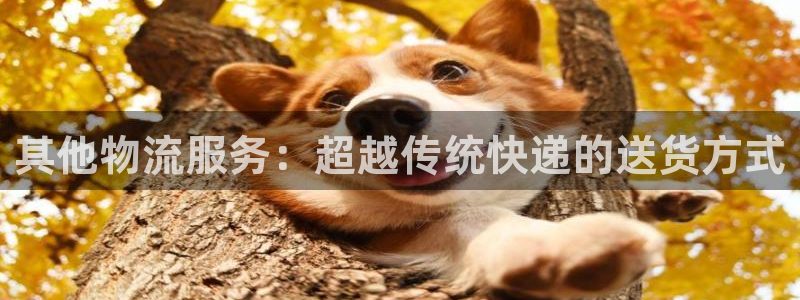28圈初始资金密码是什么