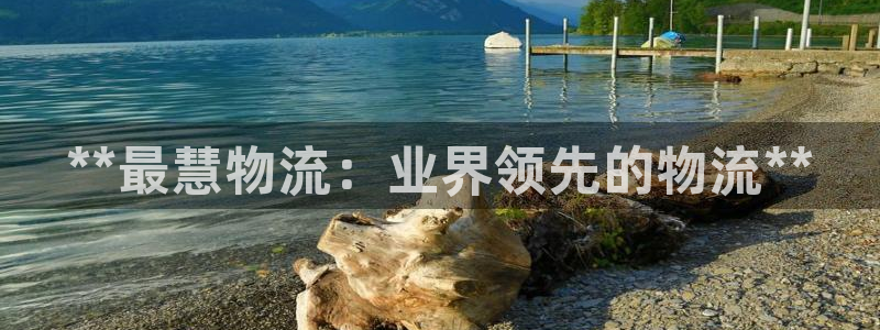 28圈官网平台下载：**最慧物流：业