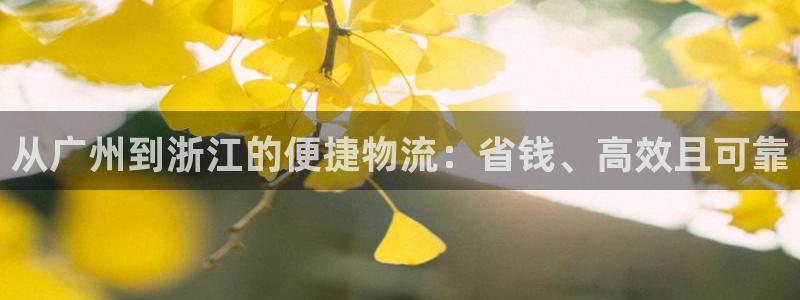 28圈正规吗：从广州到浙江的便捷物流