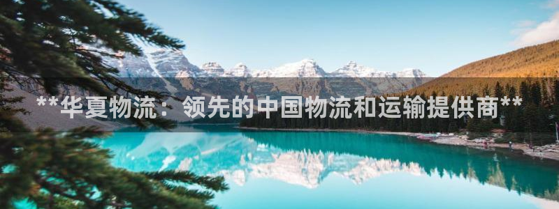 28圈p图上分下款通道：**华夏物流