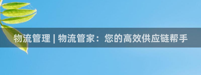 28圈分分28预测：物流管理 | 物
