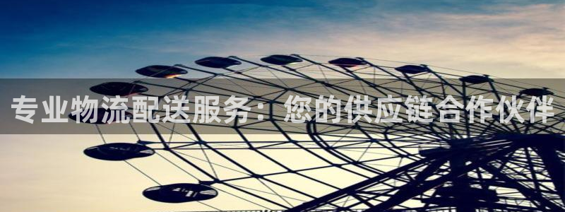 28圈p图上分下款通道：专业物流配送