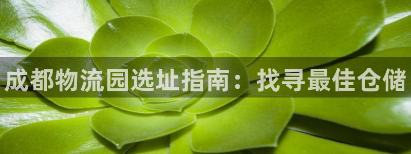 28圈如何注销账号：成都物流园选址指