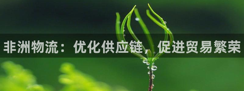 28圈官网平台下载