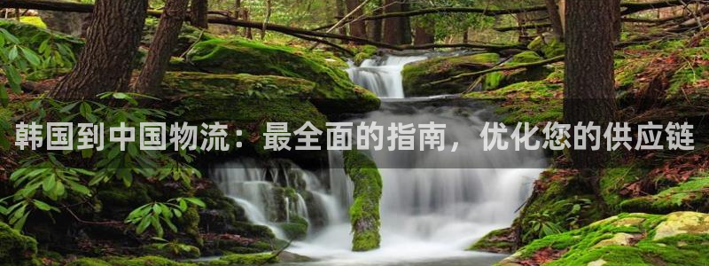 28圈ccm官网版：韩国到中国物流：