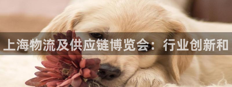 28圈可靠吗：上海物流及供应链博览会