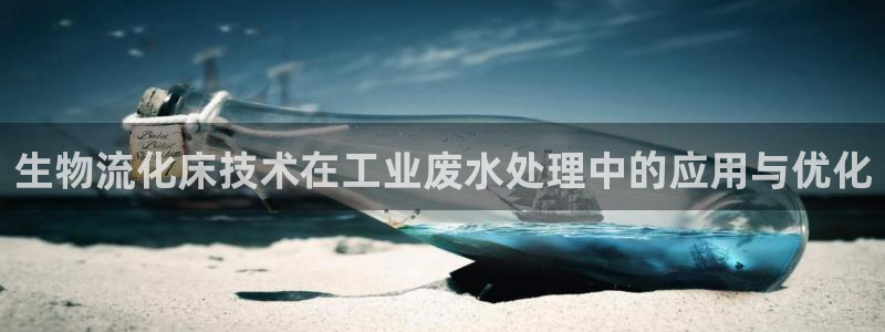 28圈提款一直没到：生物流化床技术在
