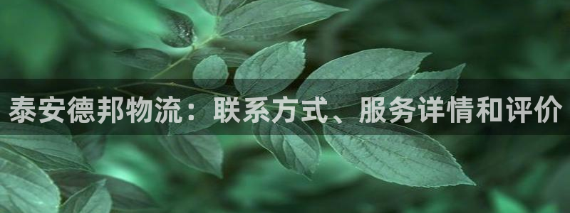 28圈是什么是赌博吗?：泰安德邦物流