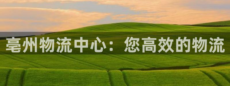 28圈推广链接是多少个