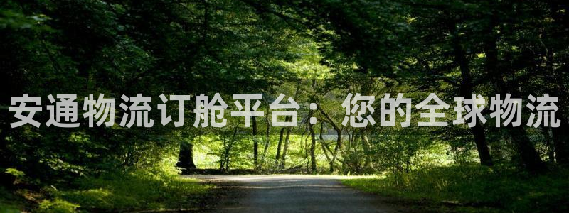 28圈可以退款吗：安通物流订舱平台：