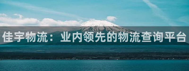 自行车28圈是什么意思：佳宇物流：业