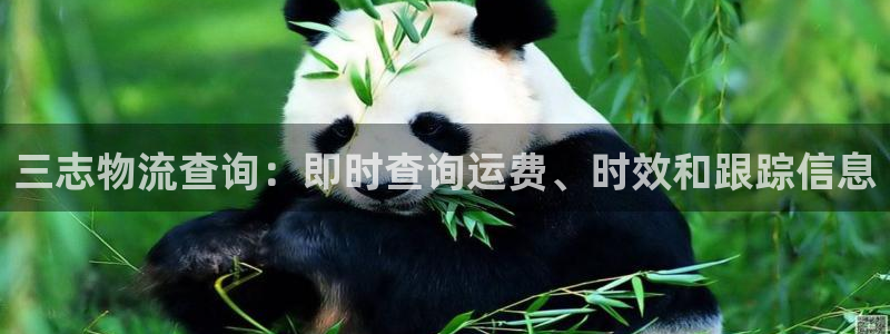 28圈激活码：三志物流查询：即时查询