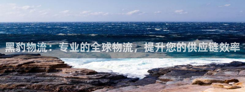 28圈官网开奖结果预测查询