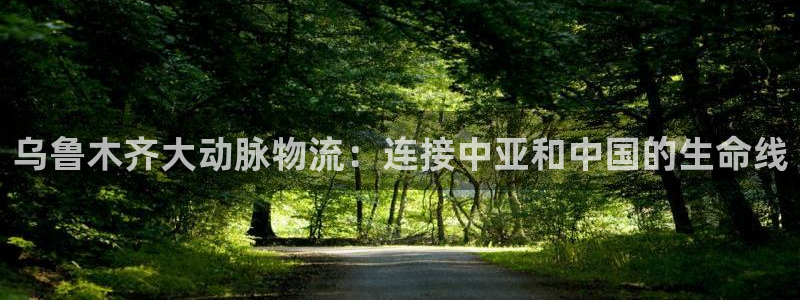 28圈注册登录流程：乌鲁木齐大动脉物