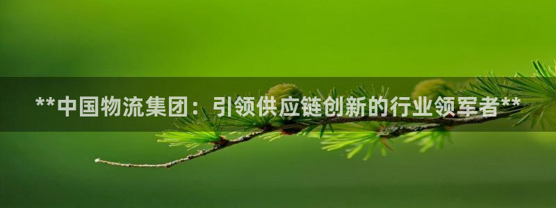 28圈登录流程：**中国物流集团：引